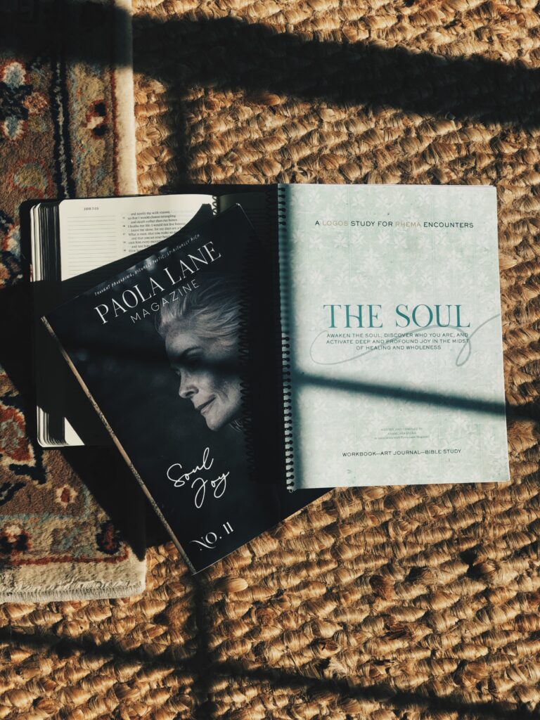 paola lane magazine soul logos study