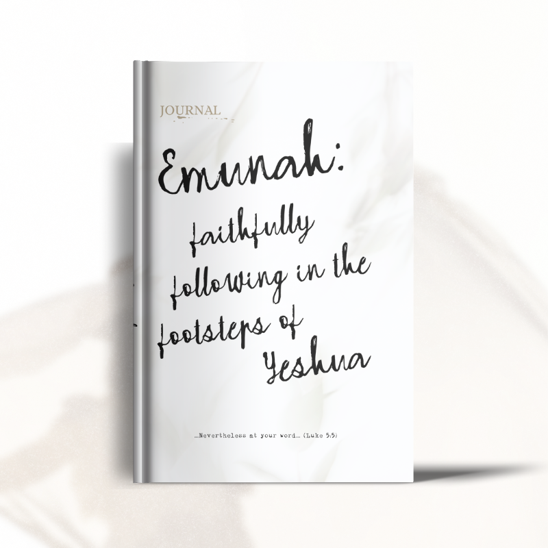 emunah journal hardback paola lane